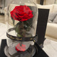 Eternal Rose Glass Dome - Red