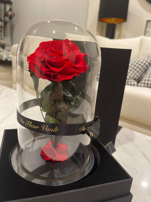 Eternal Rose Glass Dome - Red