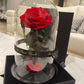 Eternal Rose Glass Dome - Red