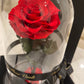 Eternal Rose Glass Dome - Red