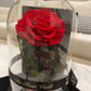 Eternal Rose Glass Dome - Red