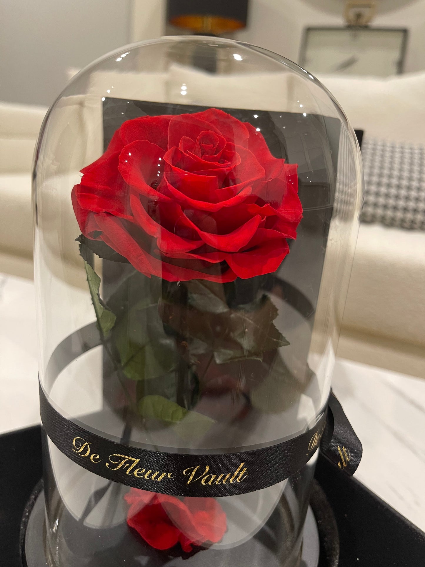 Eternal Rose Glass Dome - Red