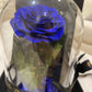 Eternal Rose Glass Dome - Sapphire Blue