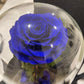 Eternal Rose Glass Dome - Sapphire Blue