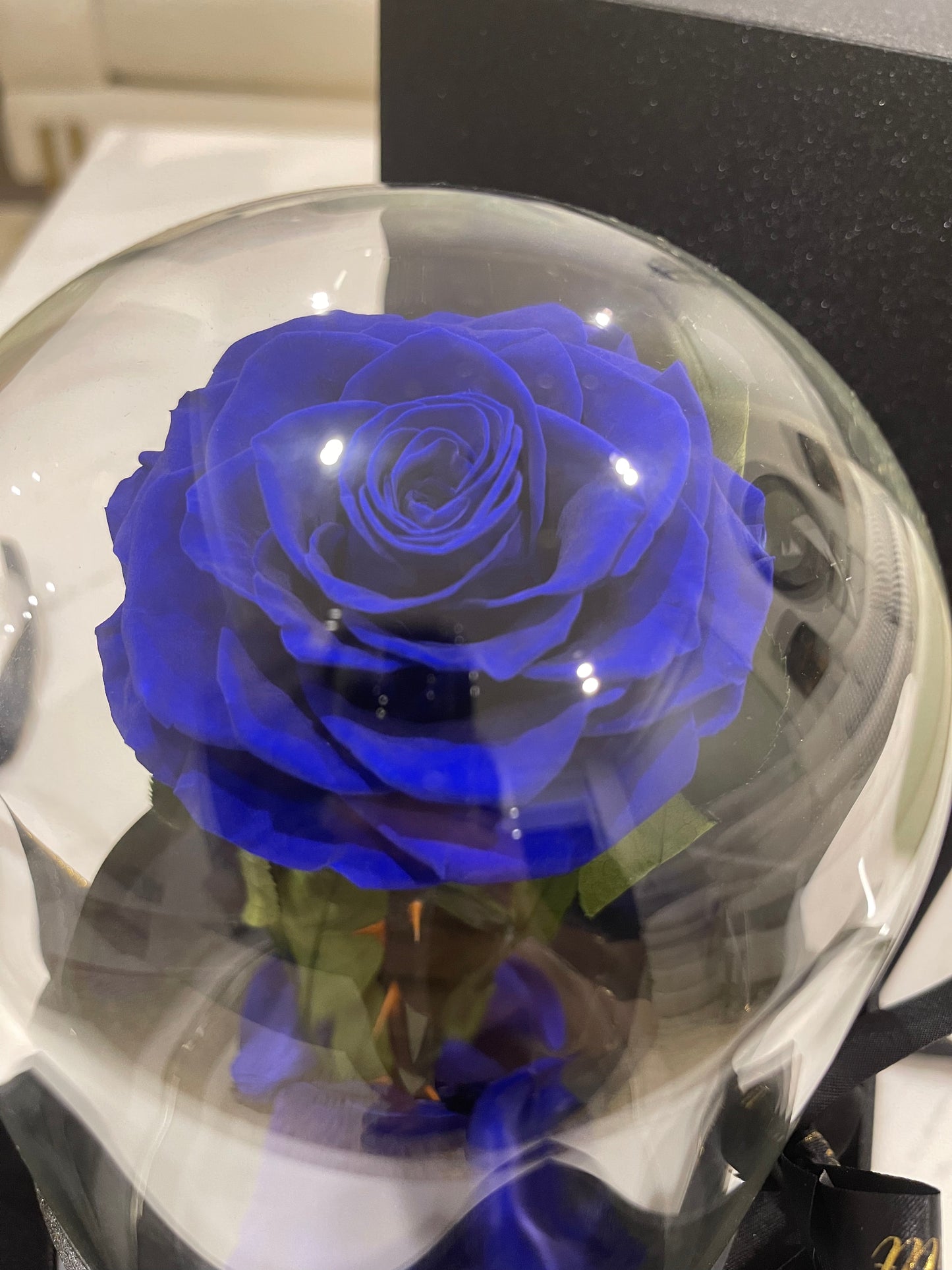 Eternal Rose Glass Dome - Sapphire Blue