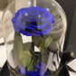 Eternal Rose Glass Dome - Sapphire Blue