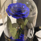 Eternal Rose Glass Dome - Sapphire Blue