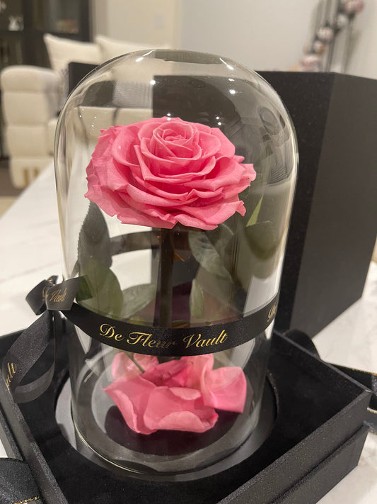 Eternal Rose Glass Dome - Pink