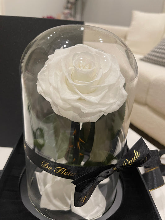 Eternal Rose Glass Dome - White